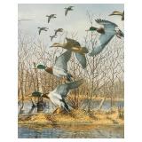 Vintage 1985 Richard Plasschaert Framed Signed and Numbered Artist