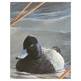 Ron Van Gilder Limited Edition Signed Windy Waters-Bluebirds Framed Print