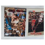 Lot of Over 150 Michael Jordan Basketball Cards Featuring Upper Deck, NBA Hoops, and Various Special Editions