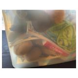 Collection of Children