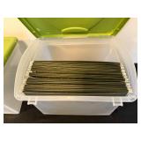 Set of 2 Sterilite Plastic File Storage Boxes with Green Lids