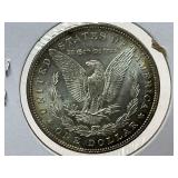 1884 Morgan Dollar
