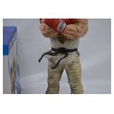 Street Fighter 5 Collector