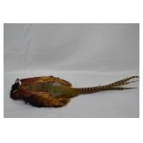 Pheasant Wall Hanging