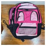 Lot of 5 Backpacks