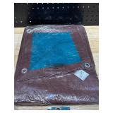 Tarp 10