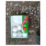 Vintage Golf Club Set with Bag and Accessories