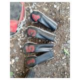 Vintage Golf Club Set with Bag and Accessories