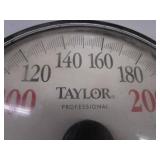 Taylor Floor Scale