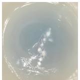 Antique Heisey Hand Painted Custard Uranium Glass Master Berry Bowl and 5 Sauce Bowls