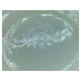 Antique Heisey Custard Uranium Glass Master Berry Bowl and 6 Sauce Bowls with Hand Painted Roses and Gold Trim