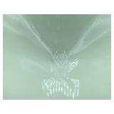 Antique Heisey Hand Painted Roses Custard Uranium Glass Ring Band Creamer, Celery Vase and Sugar with Lid