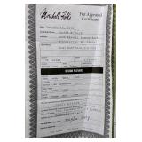 Marshall Fields Natural Female Demi Buff Mink 3/4 Coat, Hooks and Eye Closures and Cuffed Sleeve Finish