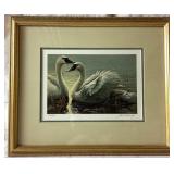 Swan Bundle - Mario Fernandez