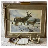 Broken Fench- Whitetail Deer by Mario Fernandez with Antlers