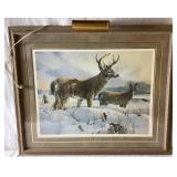 Broken Fench- Whitetail Deer by Mario Fernandez with Antlers