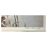 Broken Fench- Whitetail Deer by Mario Fernandez with Antlers