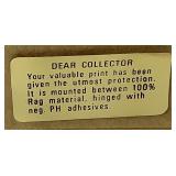 Broken Fench- Whitetail Deer by Mario Fernandez with Antlers