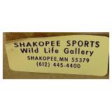 Broken Fench- Whitetail Deer by Mario Fernandez with Antlers