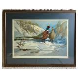 Ringneck Pheseant Pairs by Fernandez with Winter Refuge and Minnesota Pheasant