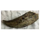 Set of Two Steer Horn Pipe Stand & Ashtray and Buffalo Horn