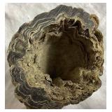 Set of Two Steer Horn Pipe Stand & Ashtray and Buffalo Horn