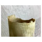 Longhorn Steer Horns (need to be remounted) 65"