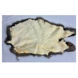 Mounted Peace Pipe,  Mounted Skull and Small Buffalo Hide