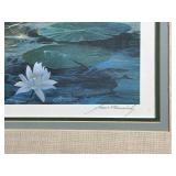 Minnesota Loon Bundle - "Morninglight" and A wondering Moment" by Mario Fenandez