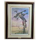 Fernandez Duck Bundle - Harmony, Hideout and Rendezvous