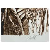 Chief Jospeh by Paul Calle