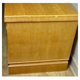 Vintage Bluebird Cedar Chest