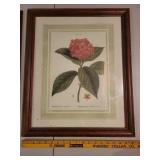 Pair of Framed Floral Artwork - Collage and Botanical Print