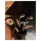 Complete Set of Golf Clubs with Bag