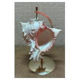 Beautiful Bird, Turtle and Shell Decor