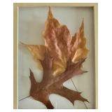 Autumn Foliage Home Decor