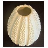 Versatile Glass Vase Selection