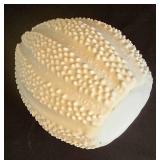 Versatile Glass Vase Selection