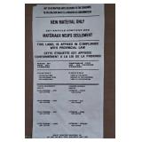 Pale Green Subtly-Printed Loveseat