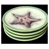 Fun Beach Decor including Frame with Shells, Coasters and More