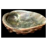 Fun Beach Decor including Frame with Shells, Coasters and More