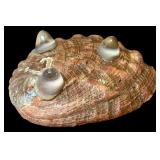 Fun Beach Decor including Frame with Shells, Coasters and More