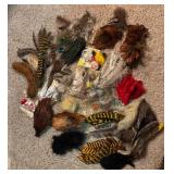Fun Variety of Feathers and Fur