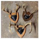 Three Decorative Antler Mounts