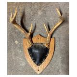 Three Decorative Antler Mounts