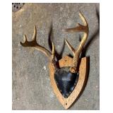 Three Decorative Antler Mounts