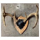 Three Decorative Antler Mounts