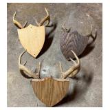 Three Decorative Antler Mounts