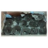 Box of 1 1/4 Coil Galvanized Roofing Nails