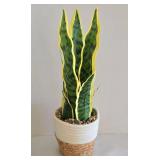 Faux Foliage Options